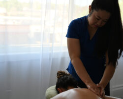 Clarity Softtissue In Home Back Massage